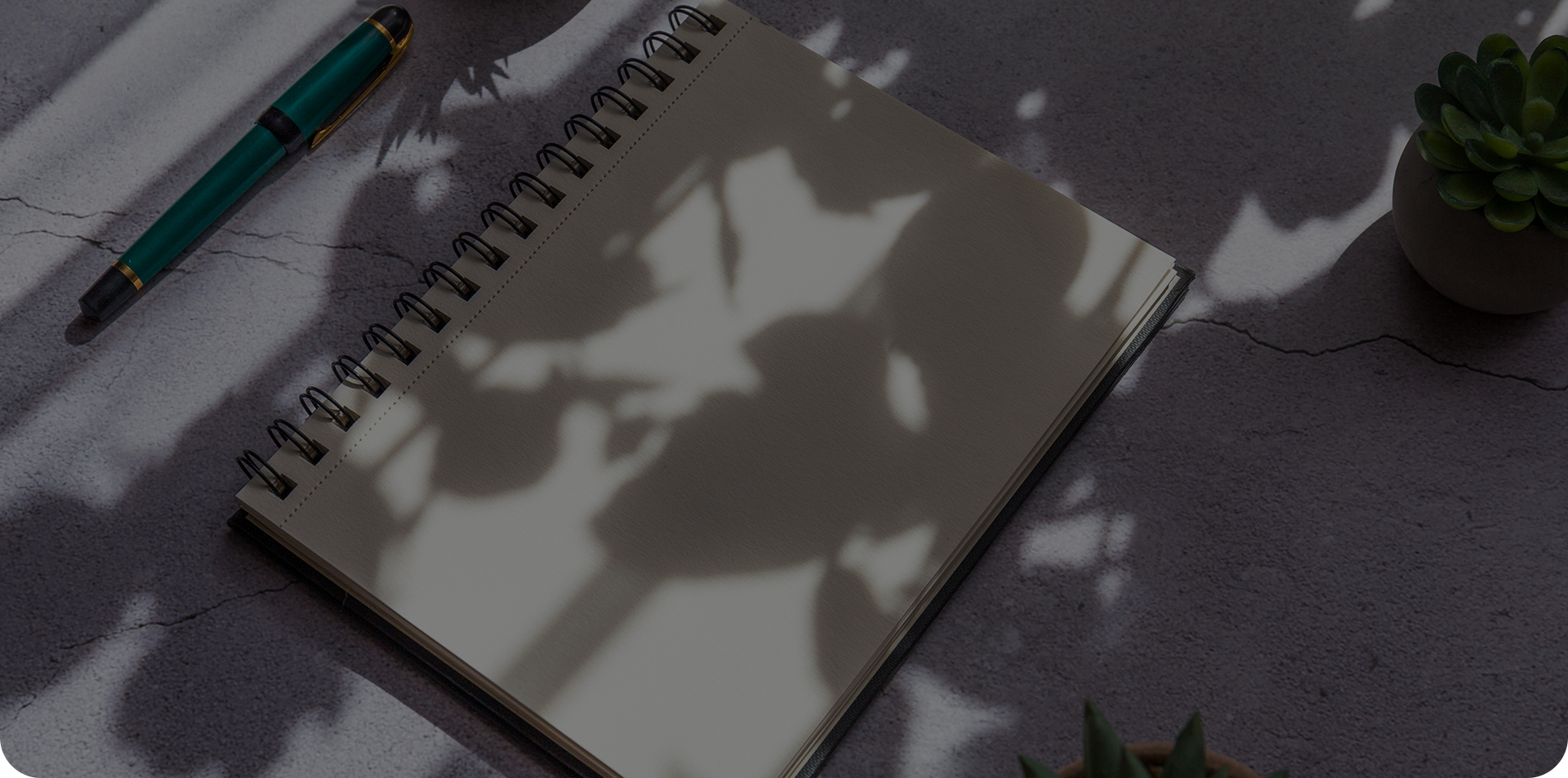 温州菩提文具有限公司